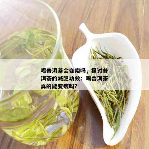 喝普洱茶会变瘦吗，探讨普洱茶的减肥功效：喝普洱茶真的能变瘦吗？