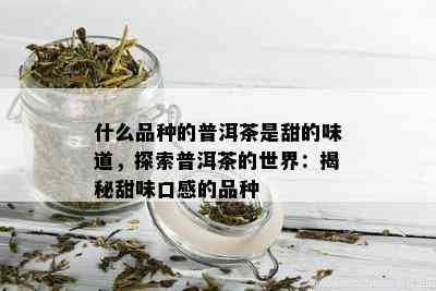 什么品种的普洱茶是甜的味道，探索普洱茶的世界：揭秘甜味口感的品种