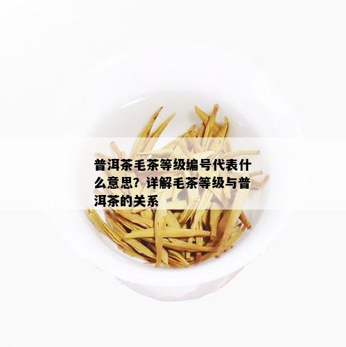 普洱茶毛茶等级编号代表什么意思？详解毛茶等级与普洱茶的关系