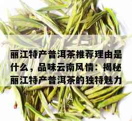 丽江特产普洱茶推荐理由是什么，品味云南风情：揭秘丽江特产普洱茶的独特魅力