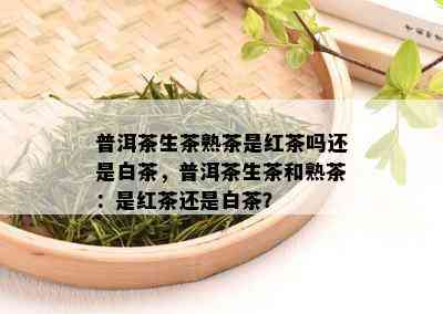 普洱茶生茶熟茶是红茶吗还是白茶，普洱茶生茶和熟茶：是红茶还是白茶？