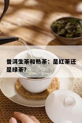 普洱生茶和熟茶：是红茶还是绿茶？