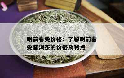 明前春尖价格：了解明前春尖普洱茶的价格及特点