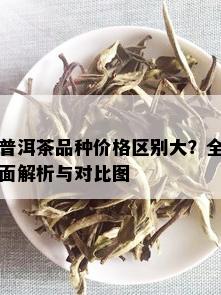 普洱茶品种价格区别大？全面解析与对比图