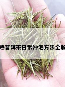 熟普洱茶日常冲泡方法全解