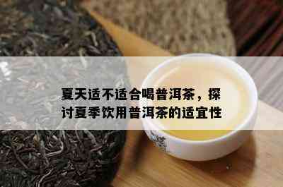 夏天适不适合喝普洱茶，探讨夏季饮用普洱茶的适宜性