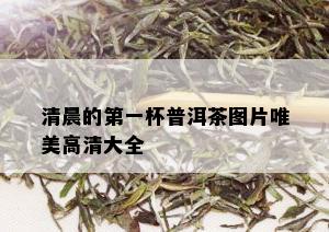 清晨的之一杯普洱茶图片唯美高清大全