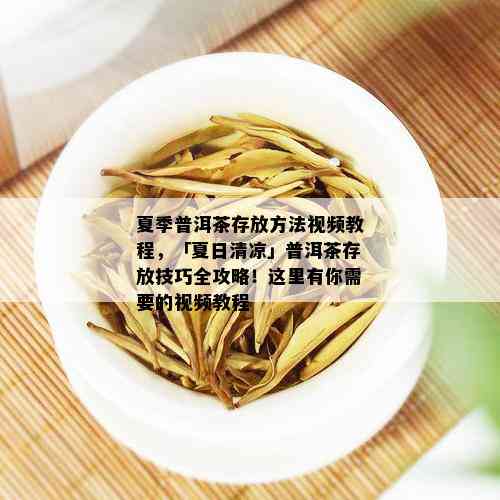 夏季普洱茶存放方法视频教程，「夏日清凉」普洱茶存放技巧全攻略！这里有你需要的视频教程