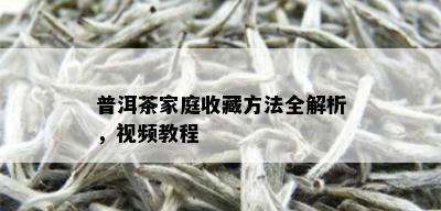 普洱茶家庭收藏方法全解析，视频教程