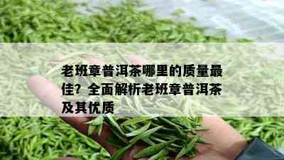 老班章普洱茶哪里的质量更佳？全面解析老班章普洱茶及其优质