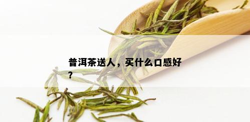 普洱茶送人，买什么口感好？