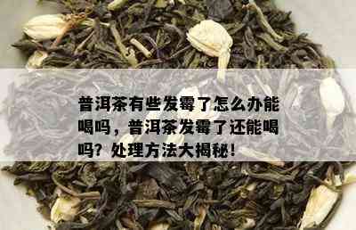 普洱茶有些发霉了怎么办能喝吗，普洱茶发霉了还能喝吗？处理方法大揭秘！