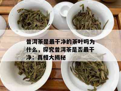 普洱茶是最干净的茶叶吗为什么，探究普洱茶是否最干净：真相大揭秘