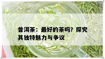 普洱茶：更好的茶吗？探究其独特魅力与争议