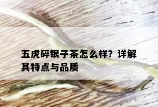 五虎碎银子茶怎么样？详解其特点与品质