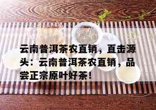 云南普洱茶农直销，直击源头：云南普洱茶农直销，品尝正宗原叶好茶！