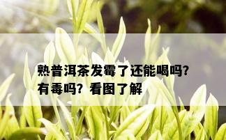 熟普洱茶发霉了还能喝吗？有吗？看图了解