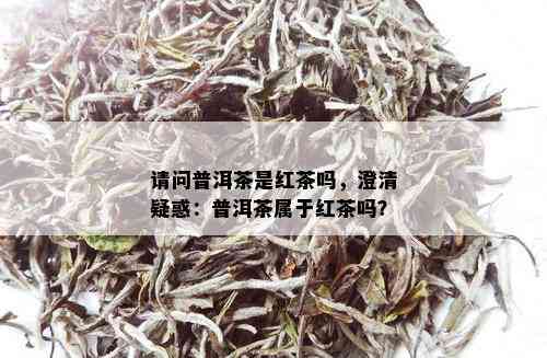 请问普洱茶是红茶吗，澄清疑惑：普洱茶属于红茶吗？