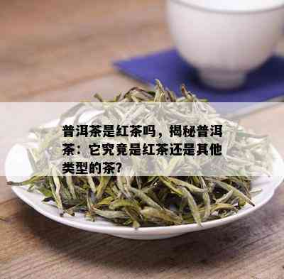 普洱茶是红茶吗，揭秘普洱茶：它究竟是红茶还是其他类型的茶？