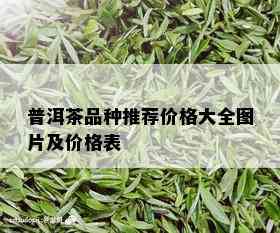 普洱茶品种推荐价格大全图片及价格表