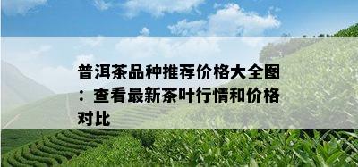 普洱茶品种推荐价格大全图：查看最新茶叶行情和价格对比