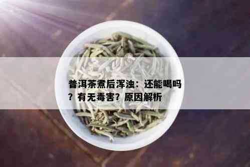 普洱茶煮后浑浊：还能喝吗？有无害？原因解析