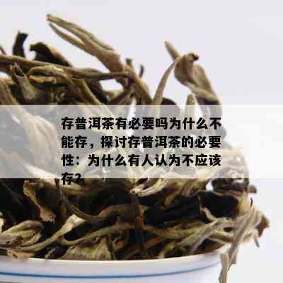 存普洱茶有必要吗为什么不能存，探讨存普洱茶的必要性：为什么有人认为不应该存?