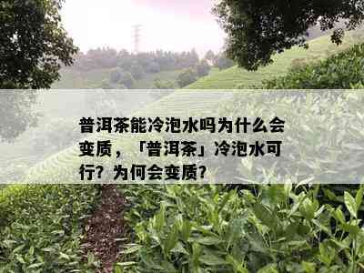 普洱茶能冷泡水吗为什么会变质，「普洱茶」冷泡水可行？为何会变质？