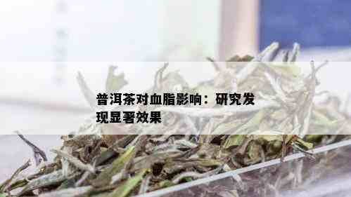 普洱茶对血脂影响：研究发现显著效果