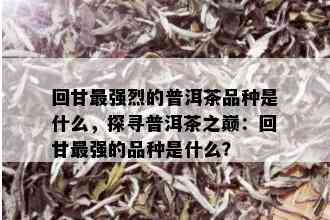 回甘最强烈的普洱茶品种是什么，探寻普洱茶之巅：回甘最强的品种是什么？