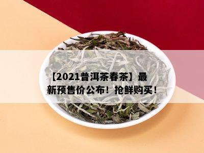 【2021普洱茶春茶】最新预售价公布！抢鲜购买！