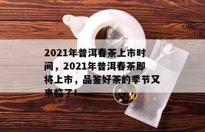 2021年普洱春茶上市时间，2021年普洱春茶即将上市，品鉴好茶的季节又来临了！