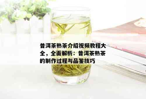 普洱茶熟茶介绍视频教程大全，全面解析：普洱茶熟茶的制作过程与品鉴技巧