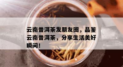 云南普洱茶发朋友圈，品鉴云南普洱茶，分享生活美好瞬间！