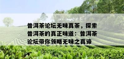 普洱茶论坛无味真茶，探索普洱茶的真正味道：普洱茶论坛带你领略无味之真谛