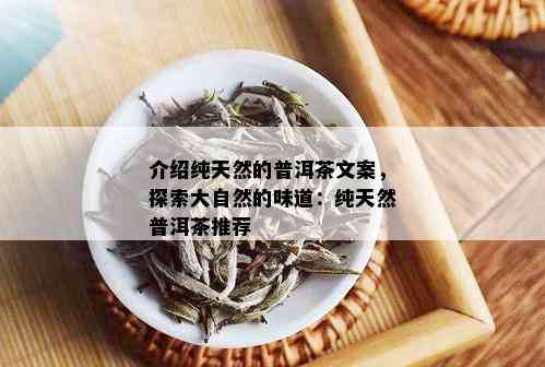 介绍纯天然的普洱茶文案，探索大自然的味道：纯天然普洱茶推荐