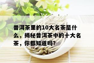 普洱茶里的10大名茶是什么，揭秘普洱茶中的十大名茶，你都知道吗？