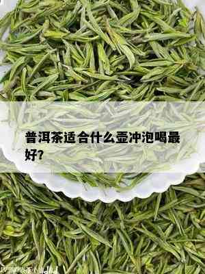 普洱茶适合什么壶冲泡喝更好？