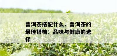 普洱茶搭配什么，普洱茶的更佳搭档：品味与健康的选择