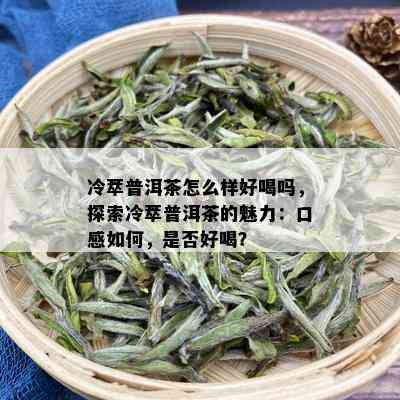 冷萃普洱茶怎么样好喝吗，探索冷萃普洱茶的魅力：口感如何，是否好喝？