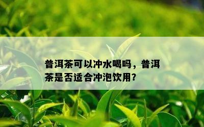 普洱茶可以冲水喝吗，普洱茶是否适合冲泡饮用？