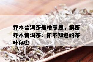 乔木普洱茶是啥意思，解密乔木普洱茶：你不知道的茶叶秘密