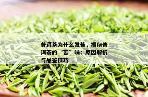 普洱茶为什么发苦，揭秘普洱茶的“苦”味：原因解析与品鉴技巧