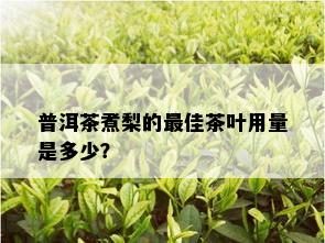 普洱茶煮梨的更佳茶叶用量是多少？