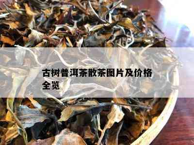 古树普洱茶散茶图片及价格全览