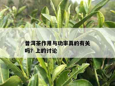 普洱茶作用与功率真的有关吗？上的讨论