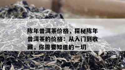 陈年普洱茶价格，探秘陈年普洱茶的价格：从入门到收藏，你需要知道的一切