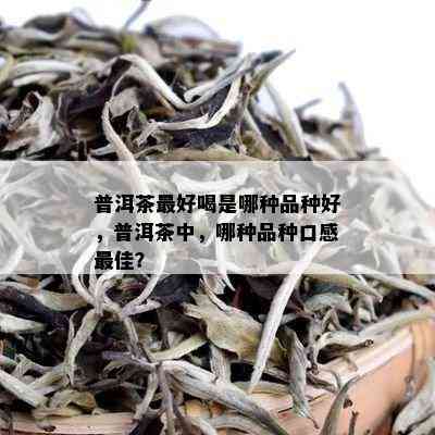 普洱茶更好喝是哪种品种好，普洱茶中，哪种品种口感更佳？