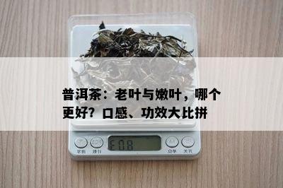 普洱茶：老叶与嫩叶，哪个更好？口感、功效大比拼