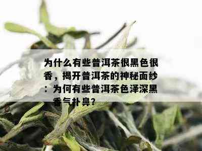 为什么有些普洱茶很黑色很香，揭开普洱茶的神秘面纱：为何有些普洱茶色泽深黑，香气扑鼻？